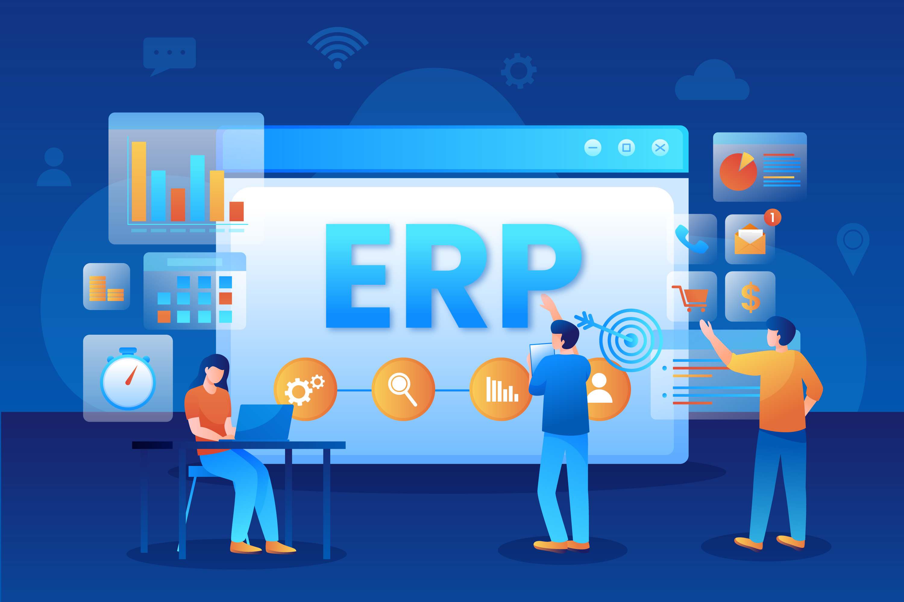 Custom ERP